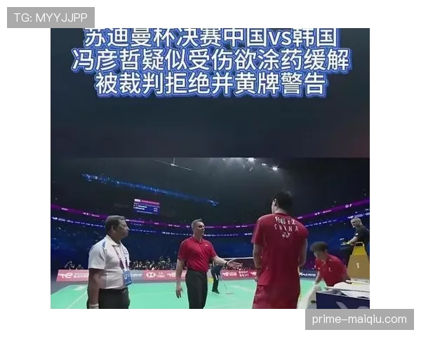 不当行为的判定标准与裁判出示黄红牌依据